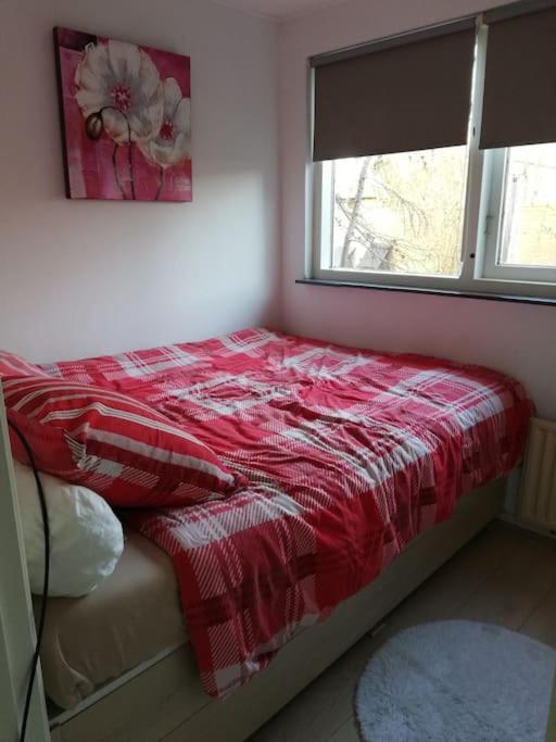 Cottage Egmond-Binnen Met Besloten Tuin 외부 사진